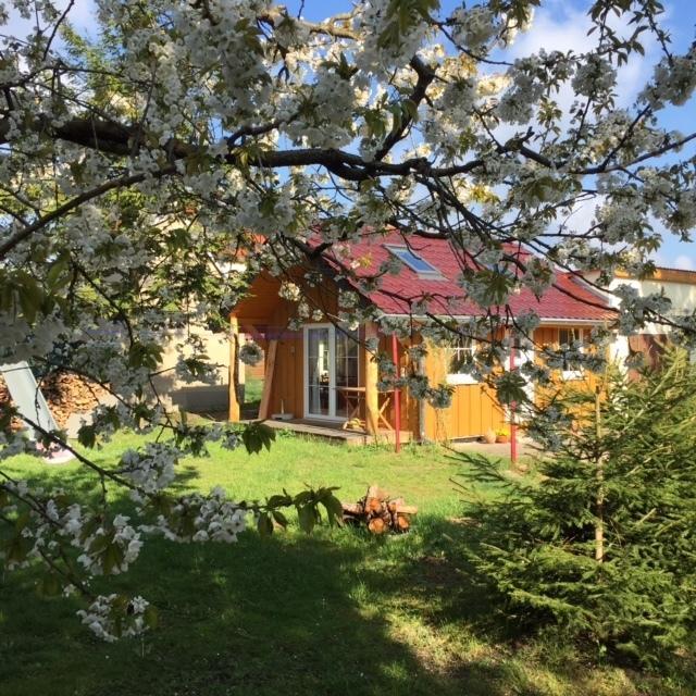 Ferienwohnung Niesky Pokoj fotografie